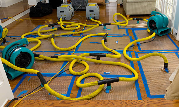 Professional Burst Pipe Water Damage technician working in Bristol, IN